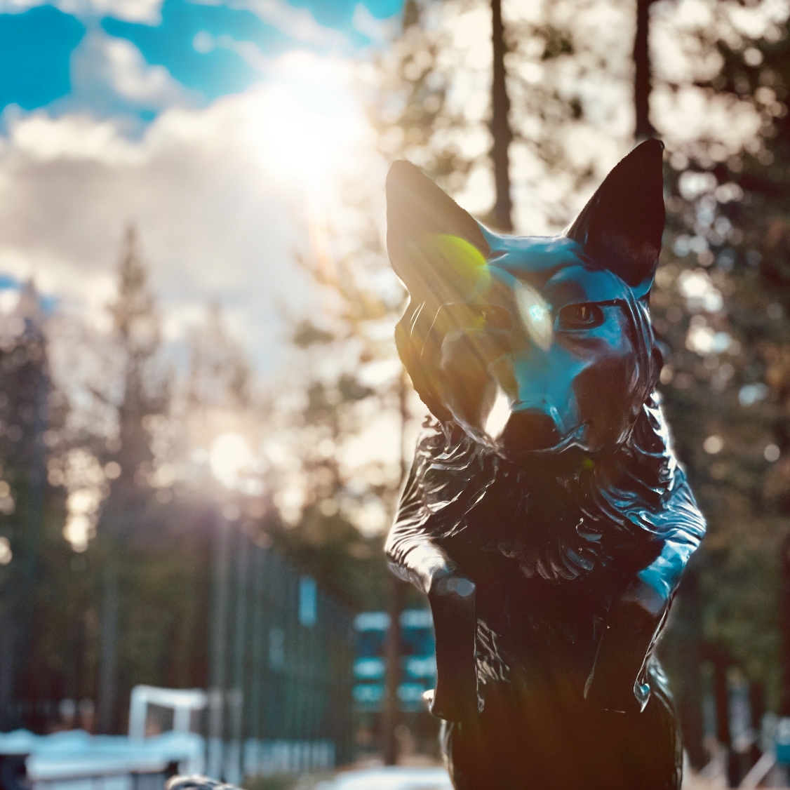 Lake Tahoe Community College