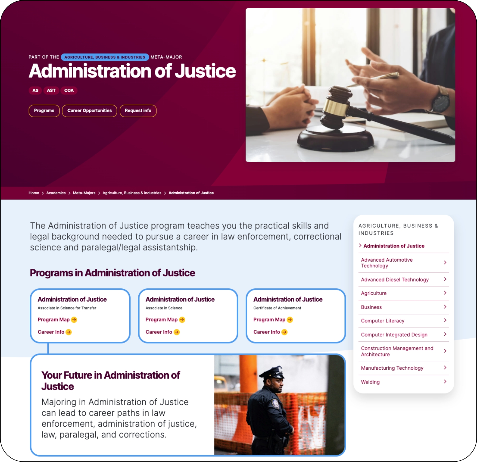 Standardized Academic Template